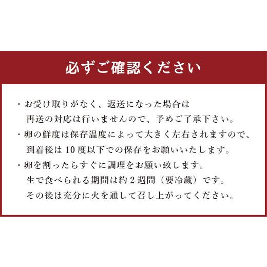 ふるさと納税 熊本県 宇城市 朝採り さくらたまご 90個（Mサイズ）卵 10個破損補償含む