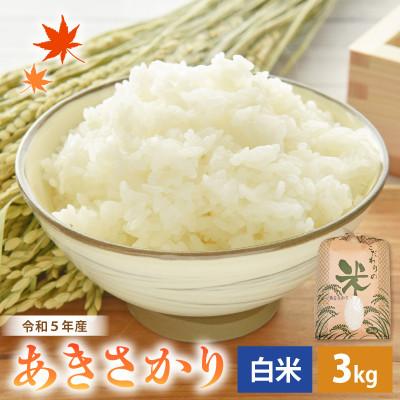 ふるさと納税 越前町 令和5年産　あきさかり(精米)　3kg