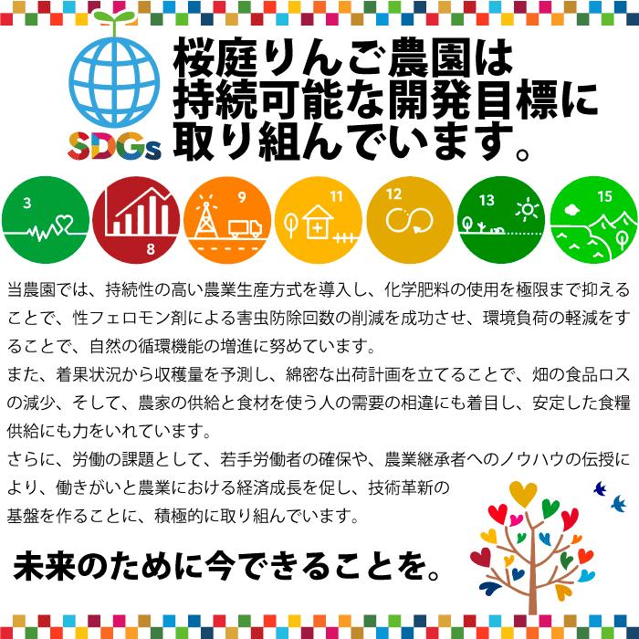 りんご 訳あり 青森県産 王林 家庭用 キズあり 3kg  産地直送 産直 自宅用 ワケあり お試し 試食 食べ物 旬の くだもの 果物