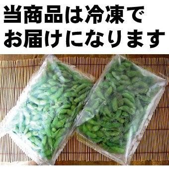 （急速冷凍）山形県鶴岡産だだちゃ豆 1kg(500g×2袋) 枝豆 えだまめ（送料無料）