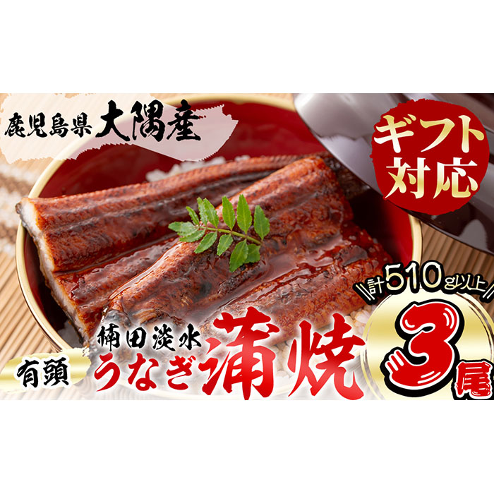 楠田の極うなぎ　蒲焼き170ｇ以上×3尾(計510ｇ以上） b2-018