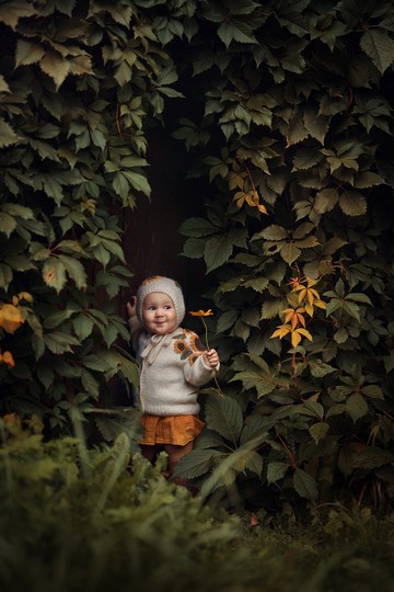 向日葵開衫, 針織開衫, 兒童開衫, 嬰兒服裝, 向日葵