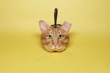 客製寵物羊毛氈-頭部扣環-價格固定(請私訊提供照片)