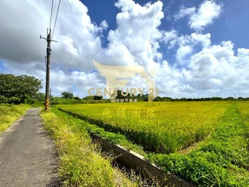 專任｜觀音忠愛段980坪方正美農地｜桃園市觀音區忠愛段
