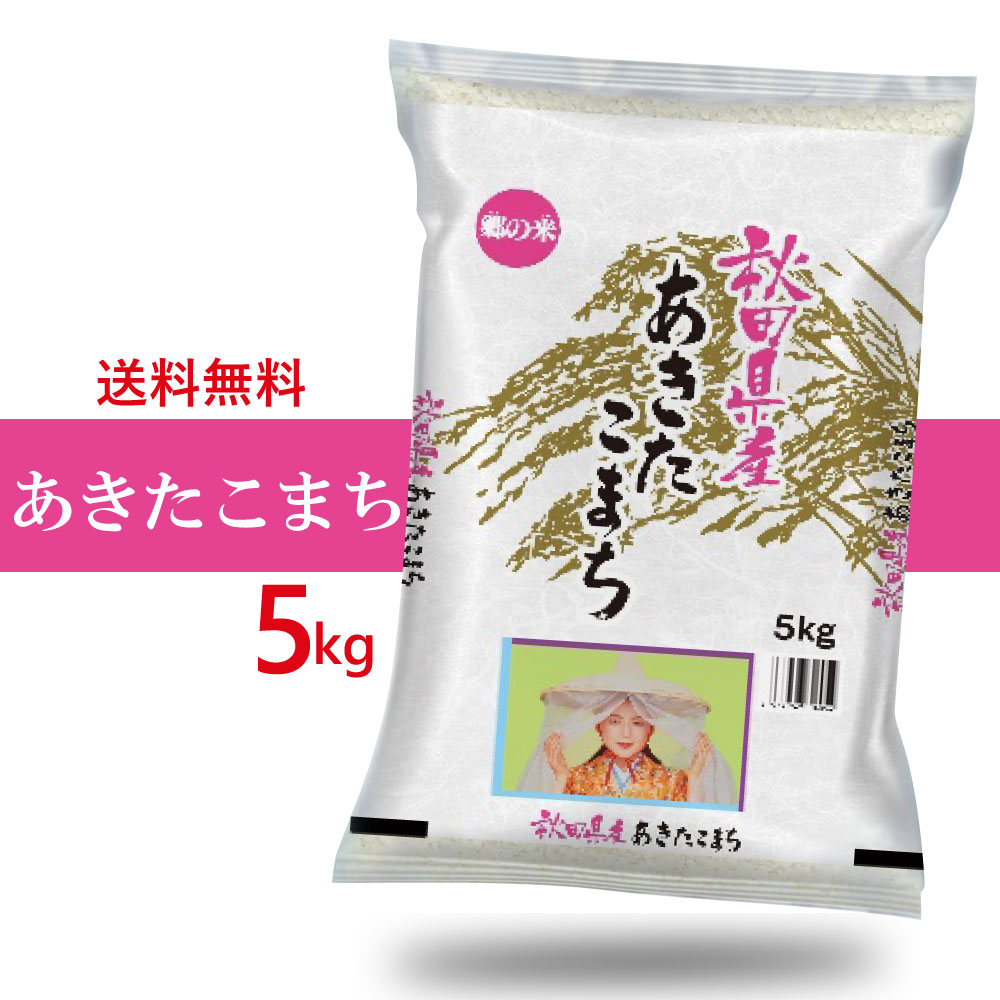  新米 秋田県産　あきたこまち 5kg 令和5年産