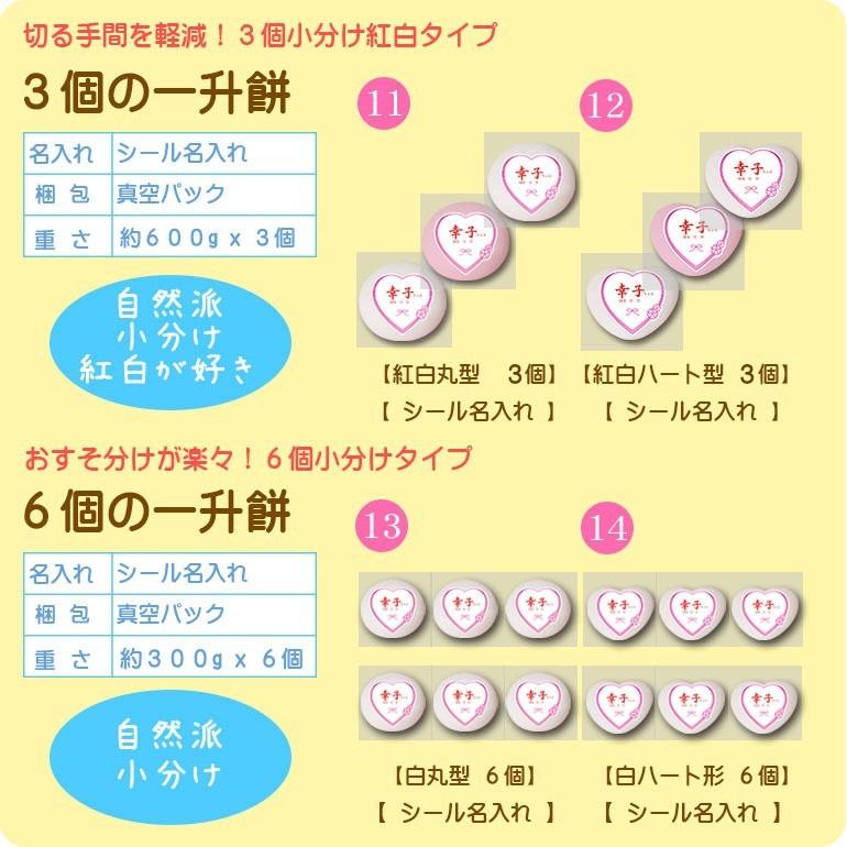 一升餅 選べる16種類 送料無料 風呂敷 リュック 巾着 付きセット わらじ オプション選択可 誕生餅 一生餅 一歳 誕生日 祝い 小分け 毎日製造発送