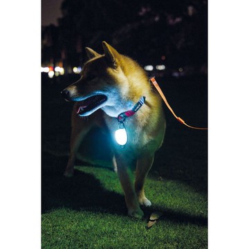 【MPETS】晚上一起跟毛孩散步吧! 犬用LED寶石發光燈