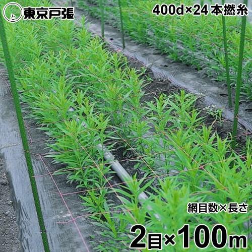 フラワーネット 4500d 9目x長さ100m