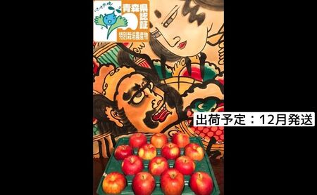 12月発送 訳あり 家庭用 葉とらずサンふじ 約5kg 青森県特別栽培農産物認証農園 