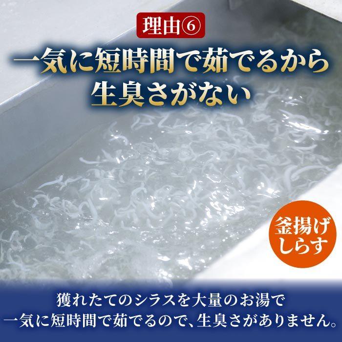 鮮度抜群！静岡県産 生しらす＆釜揚げしらす1kgセット シラス しらす 生シラス 釜揚げ 冷凍 用宗港 駿河湾 しらす丼 静岡産 グルメ