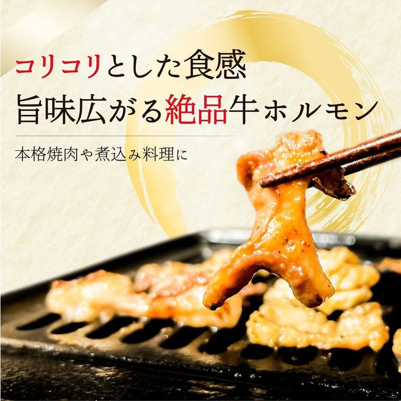 牛ホルモン 厳選 国産牛 焼肉 もつ鍋 アカセン 1.2kg 焼肉用 もつ鍋用 牛肉 焼き肉 ホルモン