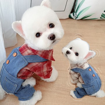 【汪喵森活－優惠出清💲】 襯衫吊帶褲 假兩件 寵物服飾 比熊 比熊 博美 貴賓 貓咪 小型犬 狗衣服 西高地 米克斯