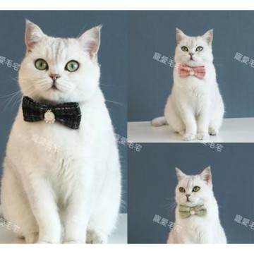 【寵愛毛宅】復古小香風領結 寵物項圈 貓咪項圈 復古領結項圈 幼犬項圈 貓咪蝴蝶結項圈 寵物小香風項圈