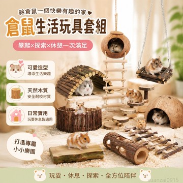 寵物省錢鋪】 倉鼠玩具生活用品金絲熊裝飾造景一整套攀爬架鞦韆椰子殼懸掛吊牀 可愛 出貨 倉鼠造景 toy 倉鼠鞦韆