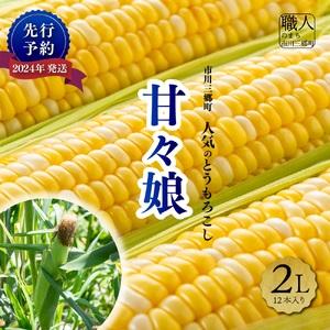 ふるさと納税 2024年発送！甘々娘　２Lサイズ　12本入り　渡邉農園[5839-1997] 山梨県市川三郷町