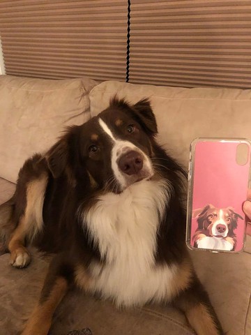 個性化手工寵物自畫像手機殼 客製化手繪iPhone手機殼毛孩子肖像