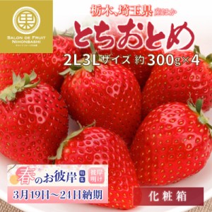 [予約 2024年1月4日-1月10日の納品] とちおとめ 約300g×4 2L3Lサイズ 栃木県産他いちご お年賀 御年賀