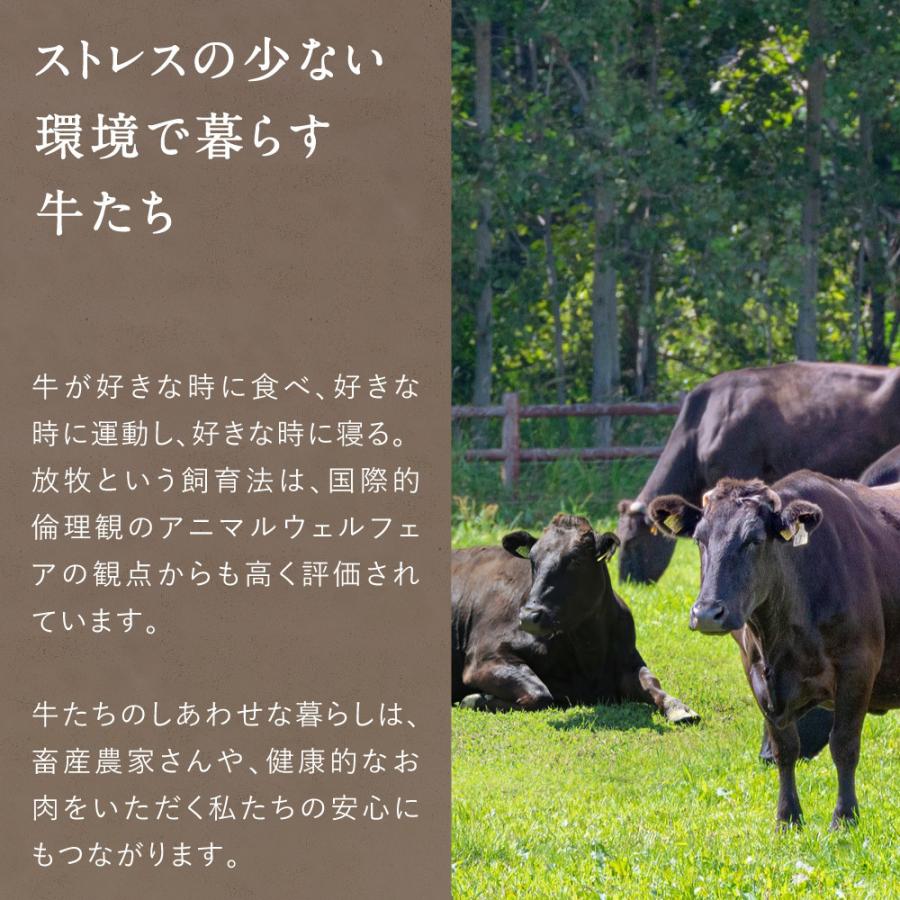 サーロインステーキ 合計150g (150g×1枚) 純日本産 グラスフェッドビーフ 国産 黒毛和牛 赤身 牛肉 焼き肉 BBQ お歳暮 ギフト