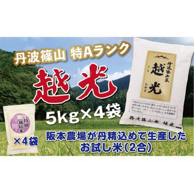 ふるさと納税 丹波篠山市 丹波篠山産　特Aランク　越　光　(5kg×4袋)