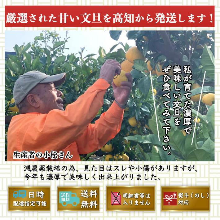 ＼1月中旬発送予約／ 文旦 土佐文旦 糖度12度  高知県産 減農薬 約3kg 贈答用 2L-L パール柑 ブンタン