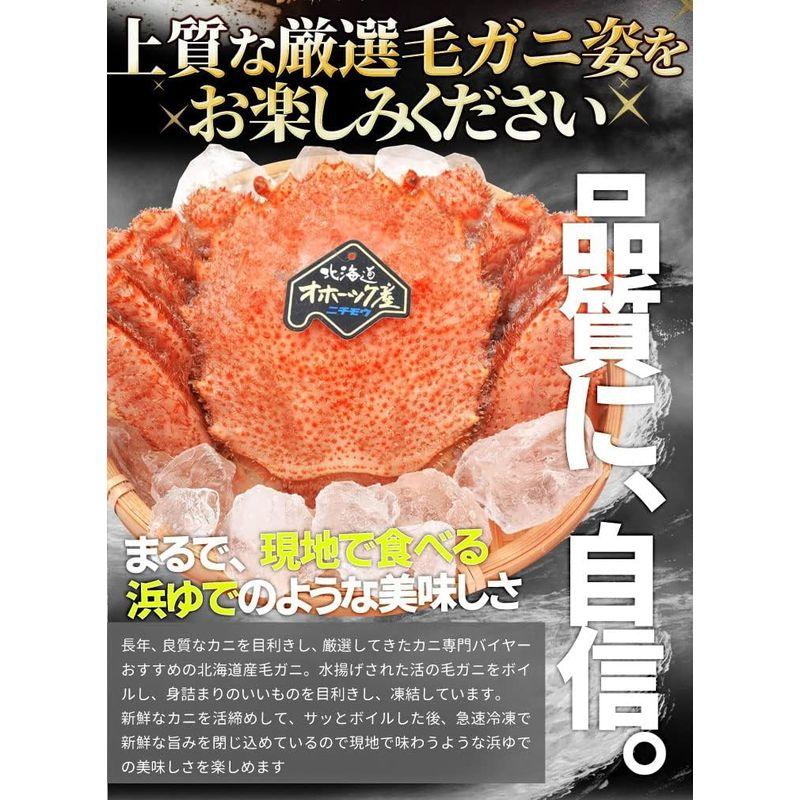 毛ガニ 姿 ボイル ２尾 約１ｋｇ（約５００ｇ×２杯） (通常梱包) 北海道 ブランドタグ付 毛蟹 毛がに 冷凍 蟹 かにみそ 海鮮