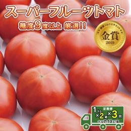  スーパーフルーツトマト 小箱 約800g × 2箱  糖度9度 以上 野菜 フルーツトマト フルーツ トマト とまと [AF047ci]