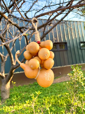 天然大葫蘆掛飾/刻字/植物
