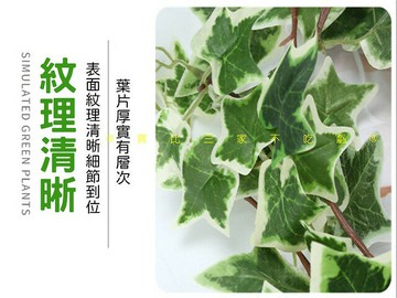 @貨比三家不吃虧@仿真綠葉藤條 仿真植物葉 拍照背景 插花 壁掛 婚禮裝飾 仿真葉子 綠色家居 藤蔓懸掛 塑膠花 植物牆