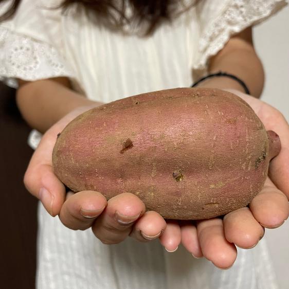 販売期間2023 12 30まで 野菜 さつまいも 40日間寝かせたしっとりあまい安納芋 産地直送