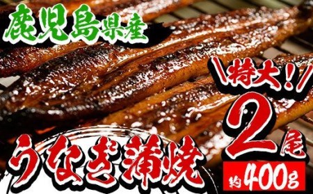 うなぎ蒲焼特大2尾（鹿児島県産うなぎ　合計約400g　鰻 のタレ付き） 期間限定 で味わう鹿児島県産 うなぎ を 冷凍 でお届け