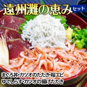 ＼ポイント消化！／ 遠州灘の恵みセット まぐろ丼 かつお 桜えび ゆでしらす 国産 遠州灘 静岡県 海鮮 詰め合わせ ギフト 内祝い 紅白 贈