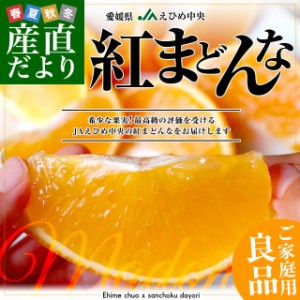 愛媛県より産地直送 JAえひめ中央 紅まどんな 良品　3LからLサイズ 約3キロ(10玉から15玉)　紅マドンナ オレンジ