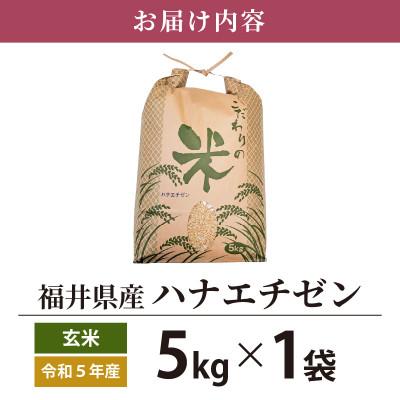 ふるさと納税 越前町 令和5年産　ハナエチゼン(玄米)　5kg