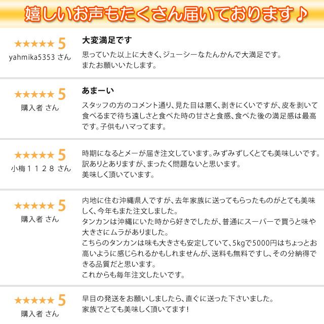 沖縄 たんかん＼タンカン専用皮むき付／沖縄産 タンカン 10kg (優品) 送料無料 産地直送！沖縄オレンジ(沖縄みかん)