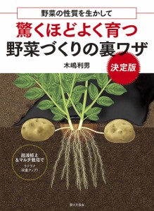 驚くほどよく育つ野菜づくりの裏ワザ 野菜の性質を生かして 決定版 木嶋利男