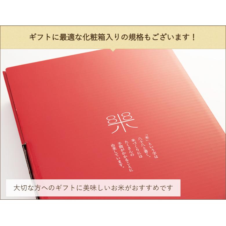 魚沼産 コシヒカリ 無洗米 3kg（2合×10） 特産魚沼 送料無料