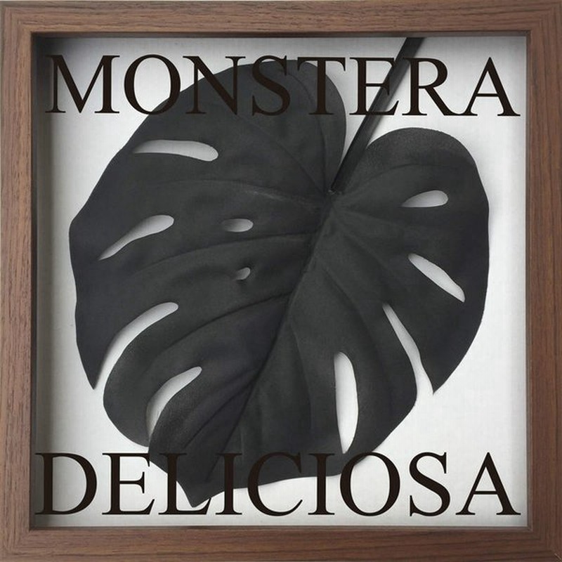 リーフパネル F Style フレーム モンステラ デリシオサ ブラック 絵画 壁掛け 壁飾り インテリア 油絵 花 アートパネル ポスター 絵 通販 Lineポイント最大get Lineショッピング