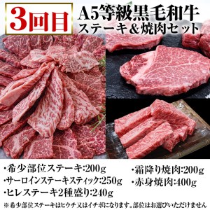 ＜6ヶ月定期便＞いちき串木野プレミアム定期便（マグロ・鰻・牛肉）