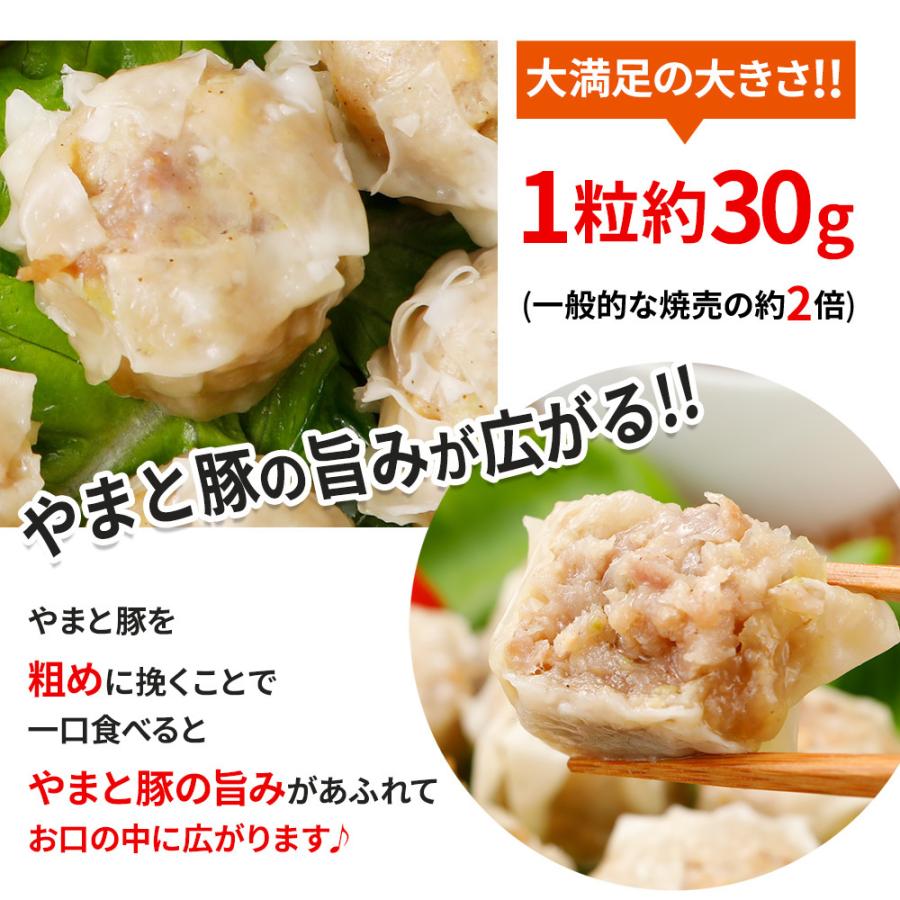 やまと豚 大粒肉焼売 20個 [冷凍] 焼売 シュウマイ 冷凍食品 お取り寄せ 業務用 冷凍 中華 おせち 食品 食べ物 セット ギフト 内祝い お返し 誕生日 出産