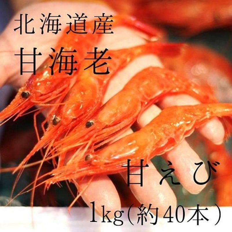 生甘エビ 生 北海道産 1kg（約20-25g 1尾） 築地直送 甘えび 甘海老 アマエビ