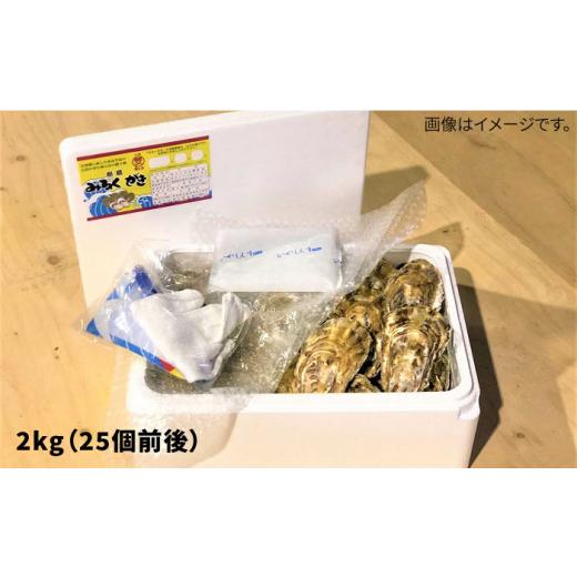 ふるさと納税 福岡県 糸島市 みるくがき 2kg（25個前後）◆ 生食 可 から付き 活 牡蠣 《糸島》牡蠣 生カキ 生食用 殻付き カキ 生牡蛎 生食可 [AEJ…