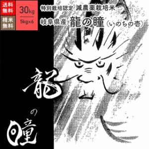 特別栽培米 岐阜県産 龍の瞳 30kg 5年産