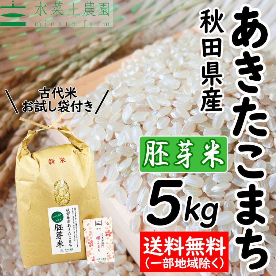 新米 米 お米 胚芽米 あきたこまち 5kg 令和5年産 秋田県産 農家直送 古代米お試し袋付き