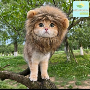 【萬聖變裝】寵物帽子 寵物服飾 寵物萬聖節裝扮 寵物配件 寵物帽子 寵物衣服 可調節頭圍 獅子造型 保暖舒適 秋冬節日寵物聚會