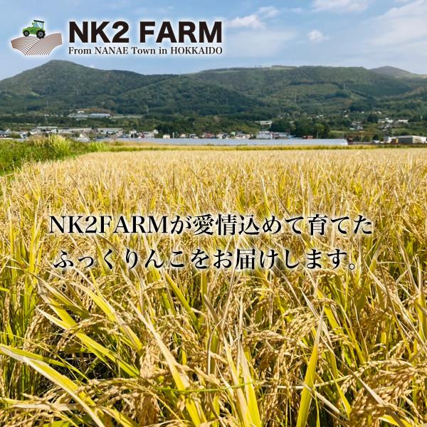 お米 北海道産 ふっくりんこ 白米 150g 220円 メール便 送料無料 令和4年産／メール便発送のため日時指定、代金引換不可