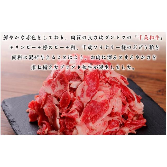 ふるさと納税 北海道 千歳市 ちとせ和牛「千美」切落し 500ｇ＜肉の山本＞