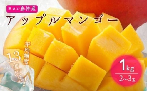 平均糖度13度以上！アップルマンゴー約1kg（2~3玉）