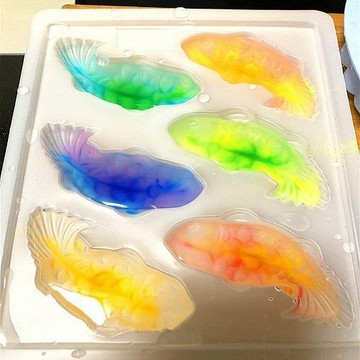 【新北發貨 好物推薦】【1466人好評】6連魚冰塊模具塑料魚型制冰格硅膠凍冰魚模具蛋糕烘焙年糕魚模型