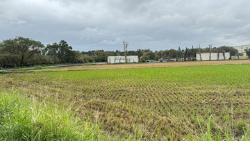 正66快速路觀音文化路交流道旁漂亮農地｜桃園市觀音區三座屋段新興小段