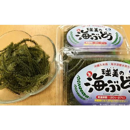 ふるさと納税 球美の”生”海ぶどう（100g×3個） 沖縄県久米島町